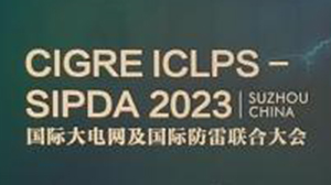 米兰官方版网站登录入口-米兰online(中国)
公司参加国际大电网及国际防雷联合大会