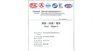 米兰官方版网站登录入口-米兰online(中国)
公司10kV电子式传感器通过型式试验